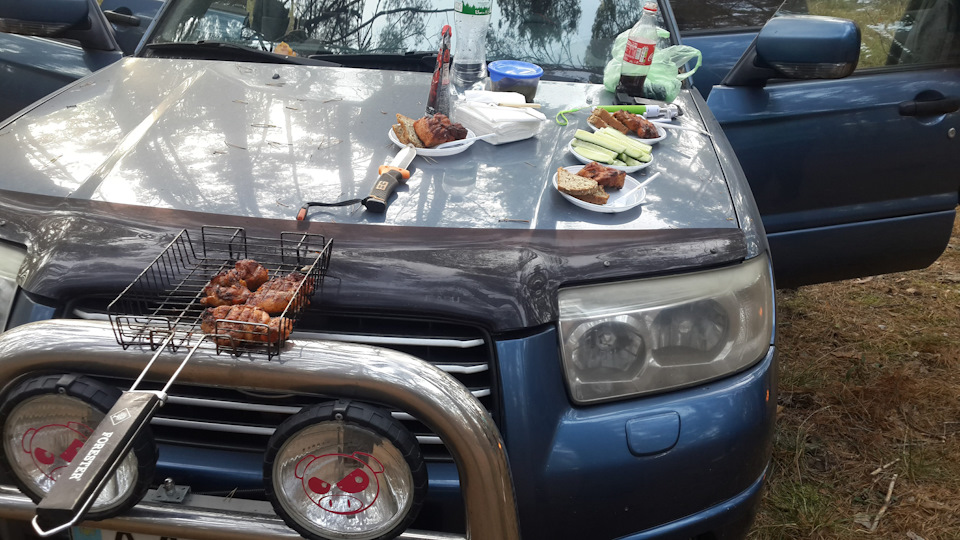 Просто вихідний у лісі 2