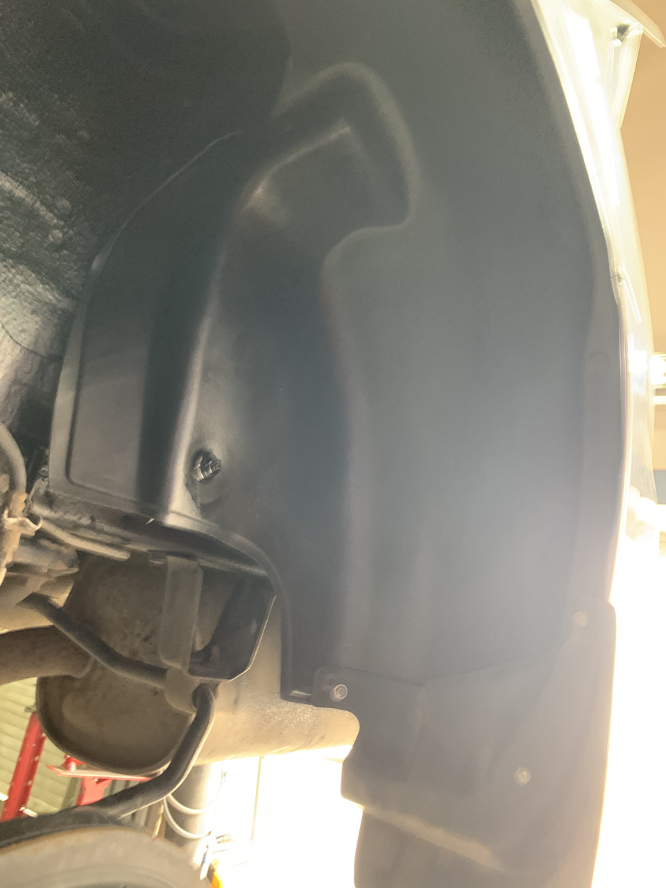 Задні підкрилки 3