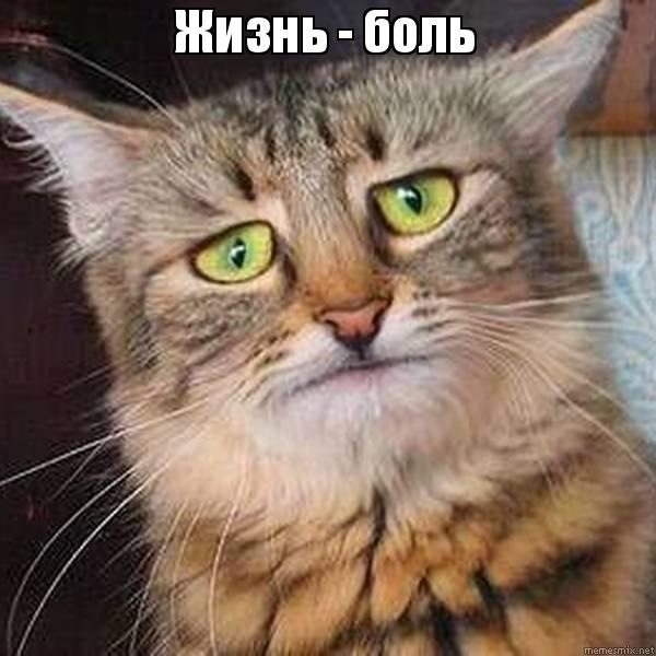 Алярм не пішов))))) 1
