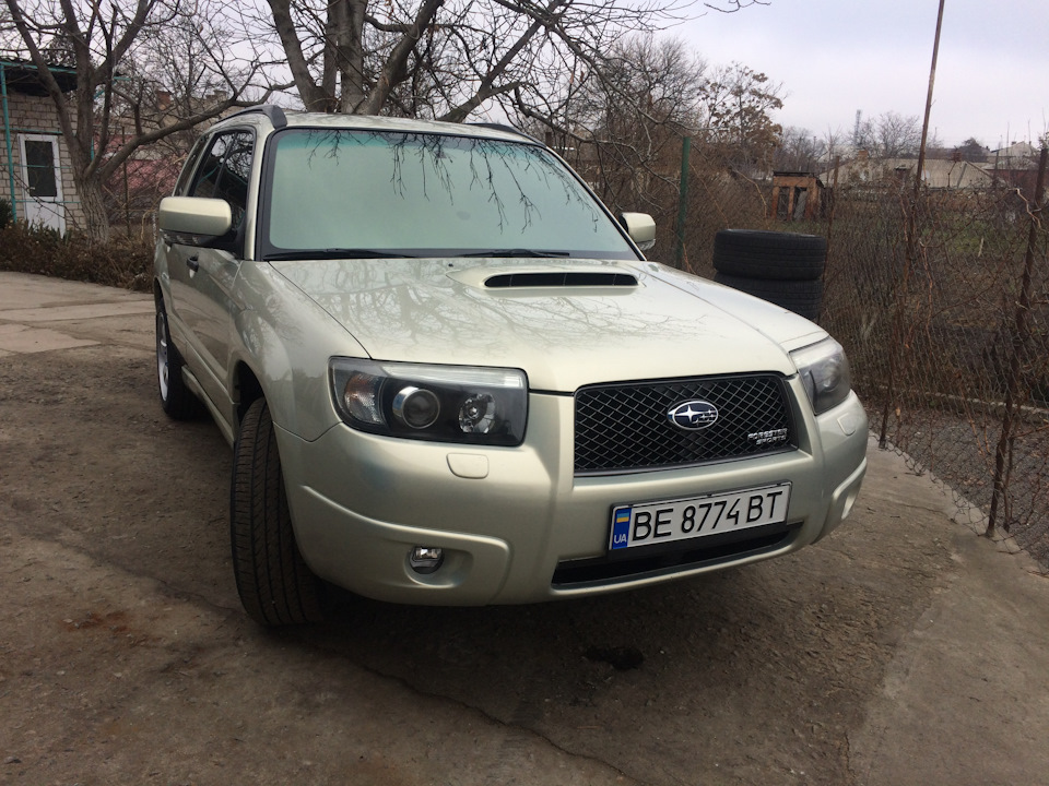 Рашітки радіатора 1