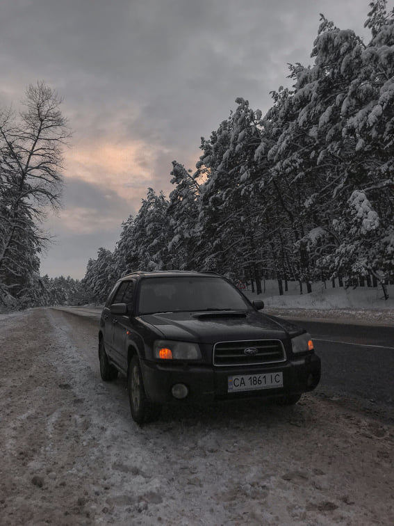 Forester 1.0 3