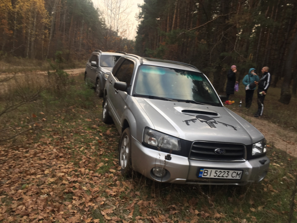 Грибні місця!)))) 5
