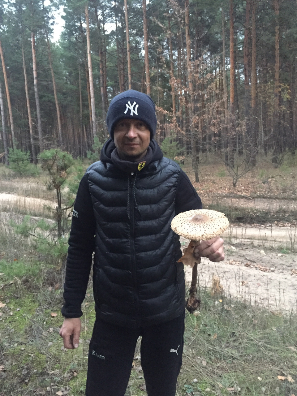 Грибні місця!)))) 1