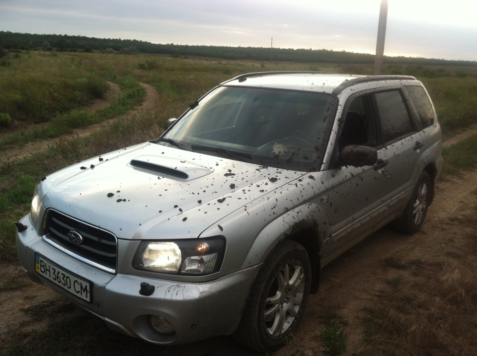 Рідна стихія SUBARU 1