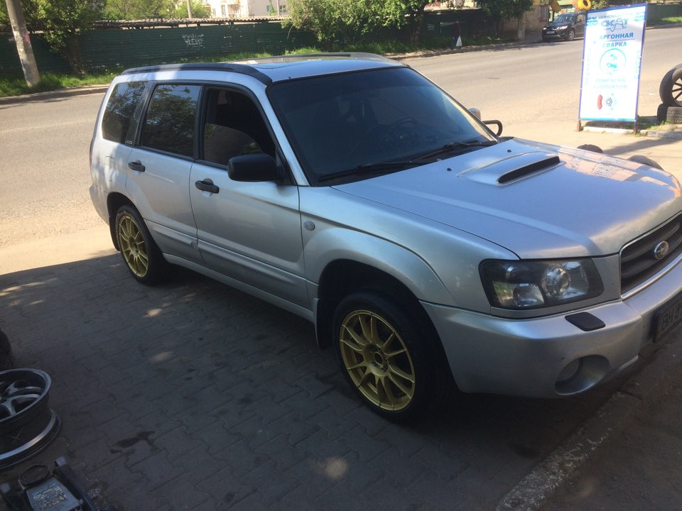 Нові тапки 2