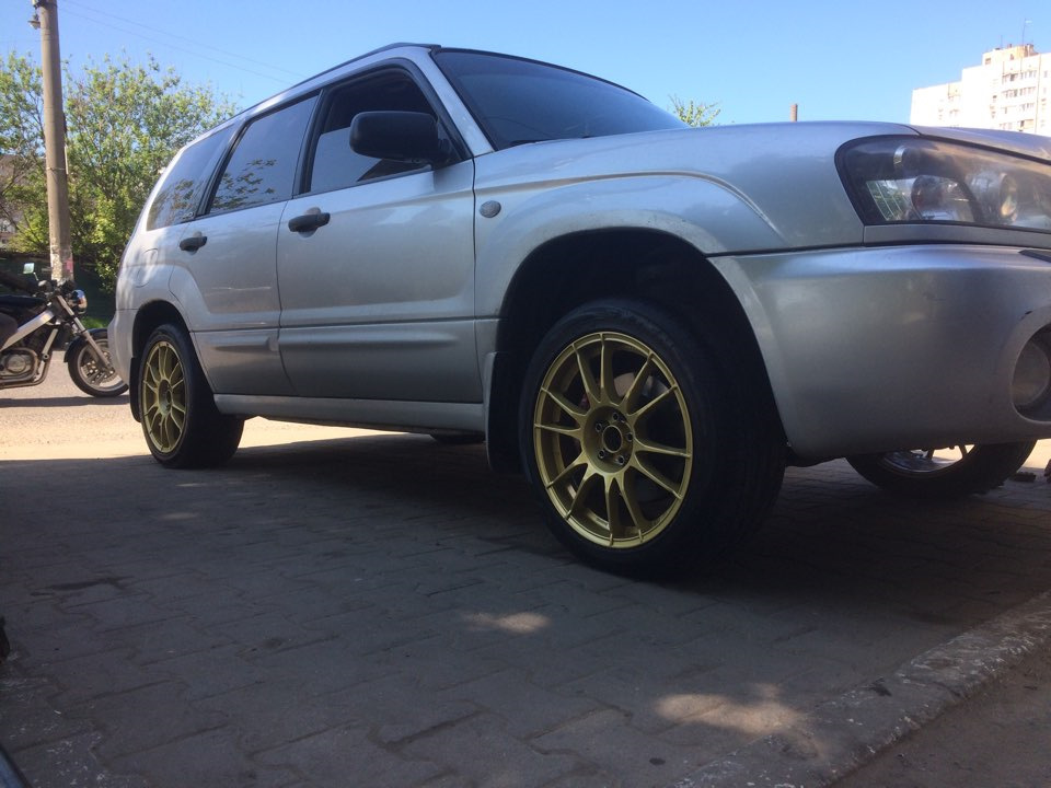 Нові тапки 1