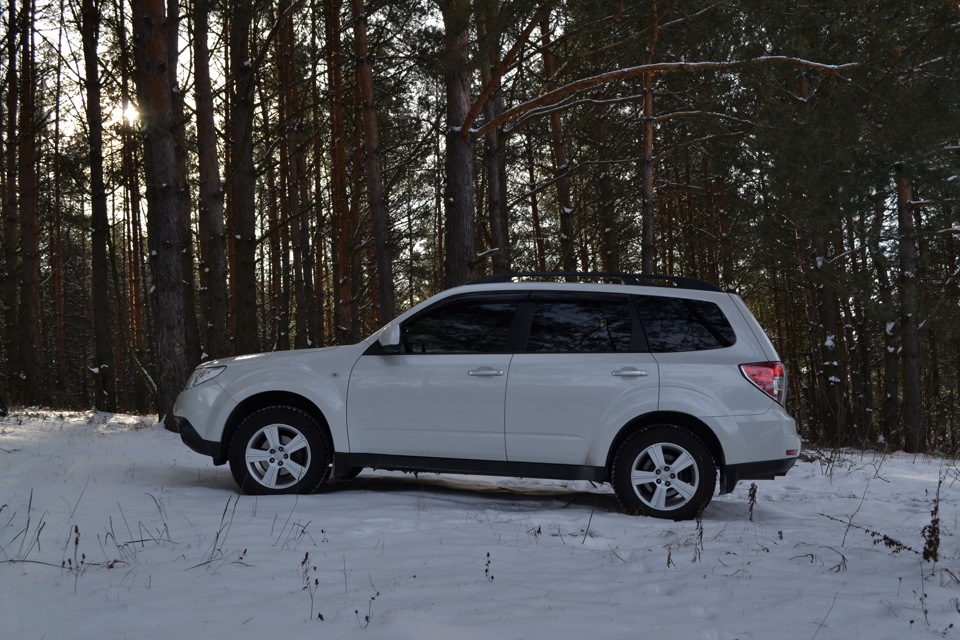 Поїздка до лісу 1