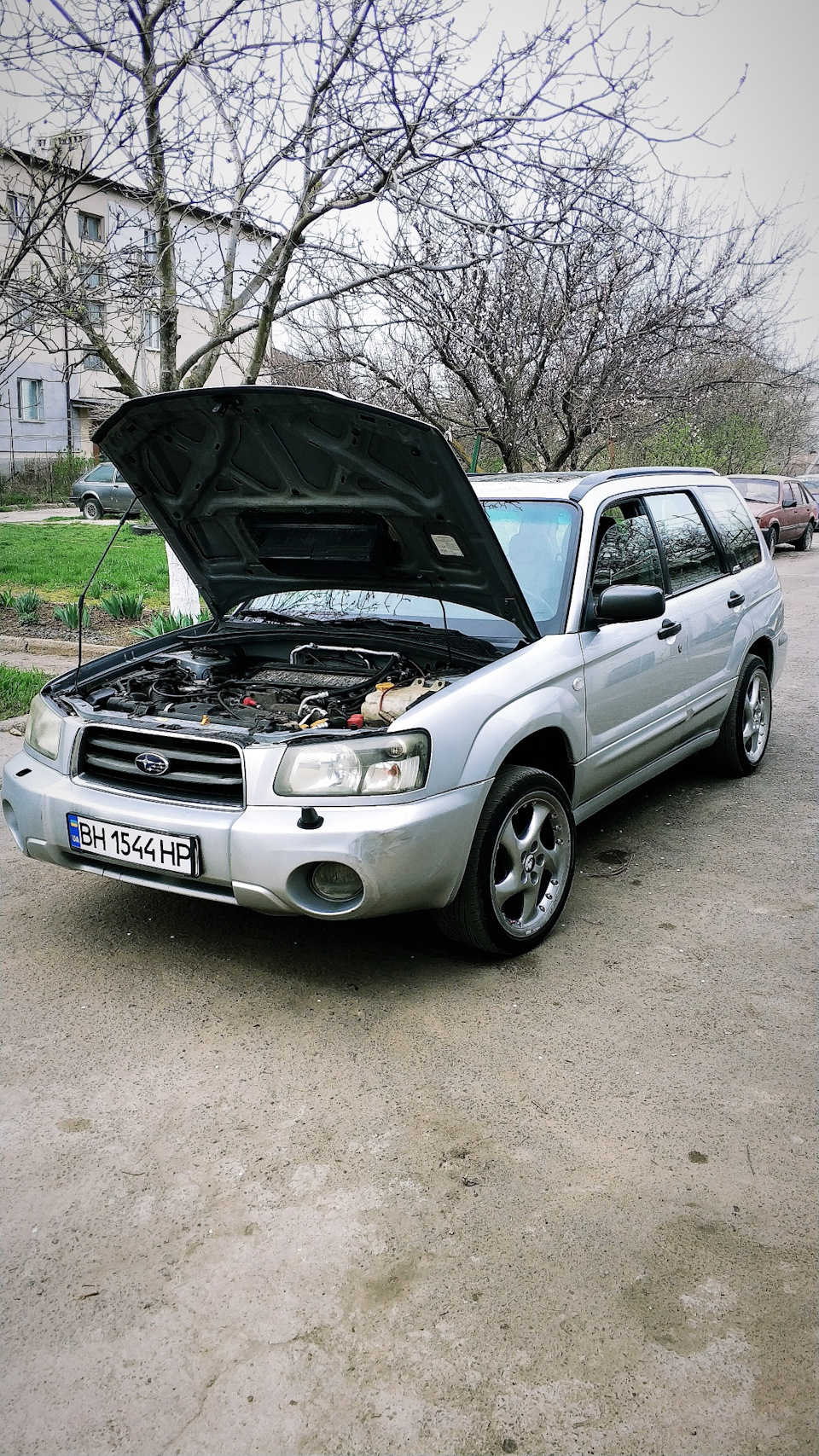 Весняний настрій 😋 3