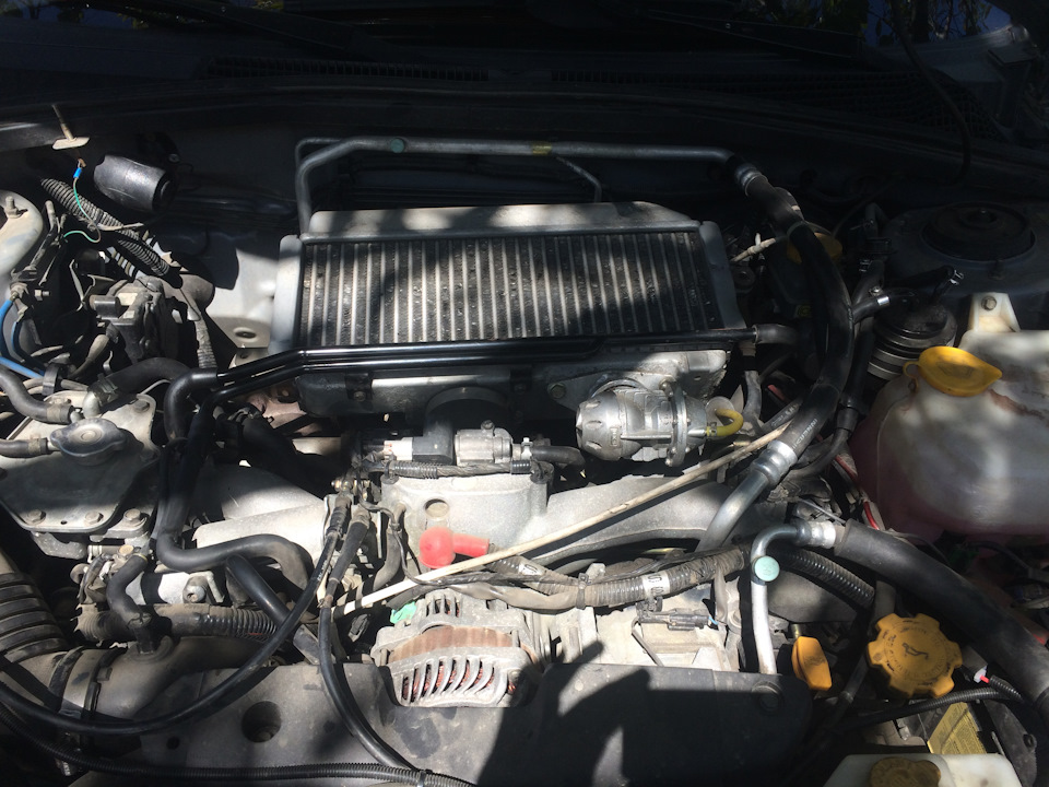 Бонус 1