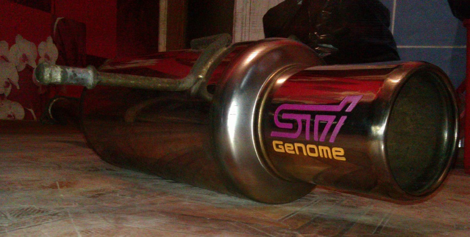 STI Genome ... дитина 5