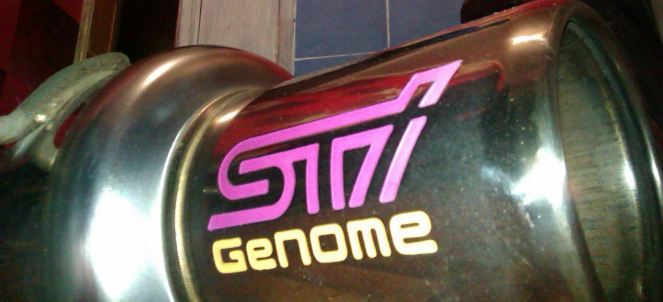STI Genome ... дитина 2