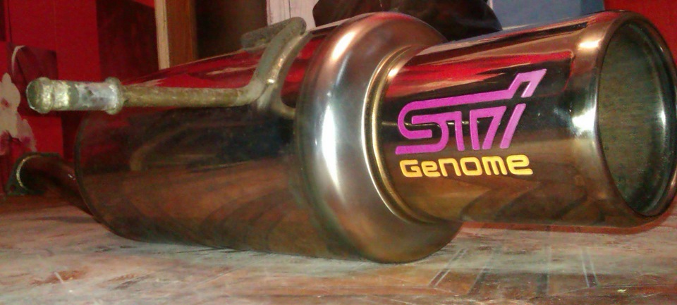 STI Genome ... дитина 3