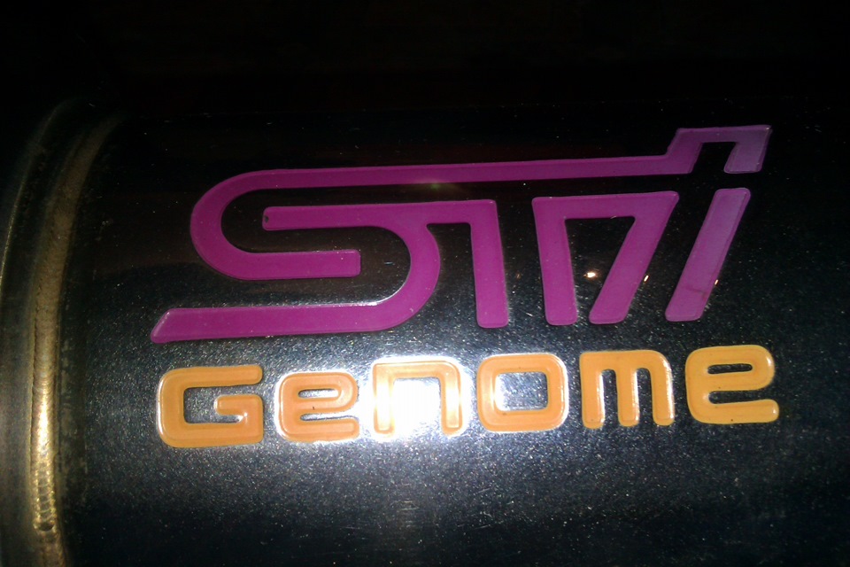 STI Genome ... дитина 1