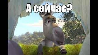 Про що смердить підкапотка, або Де моя муфта AVCS? 2
