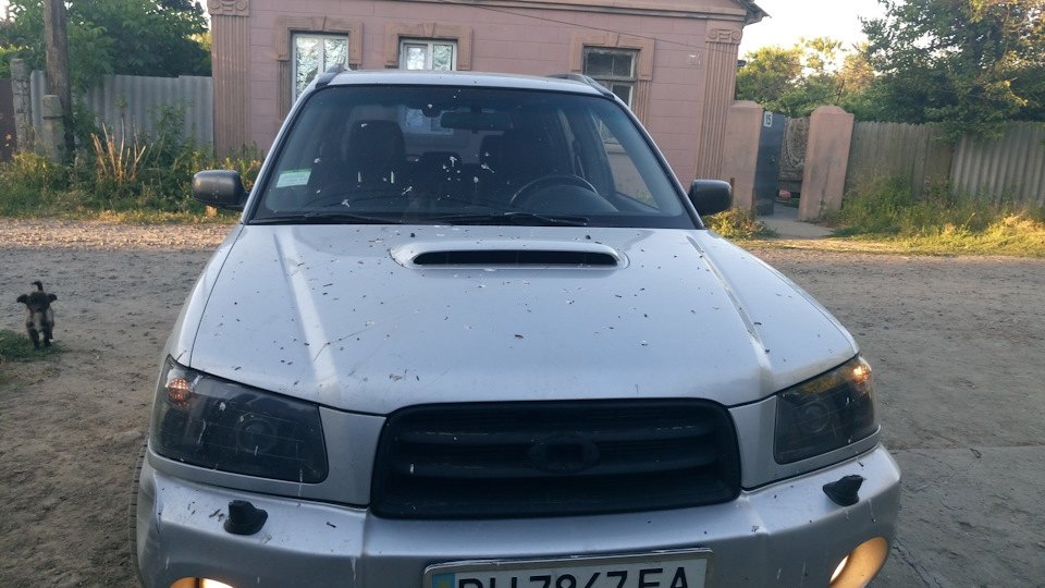 після виїзду на природу… Пташки, що ви їсте? 1