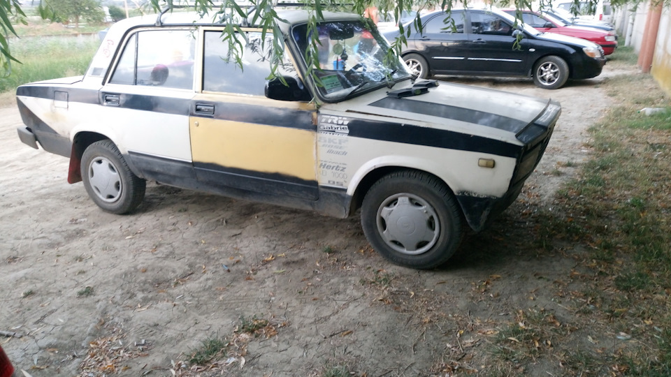 після виїзду на природу… Пташки, що ви їсте? 4