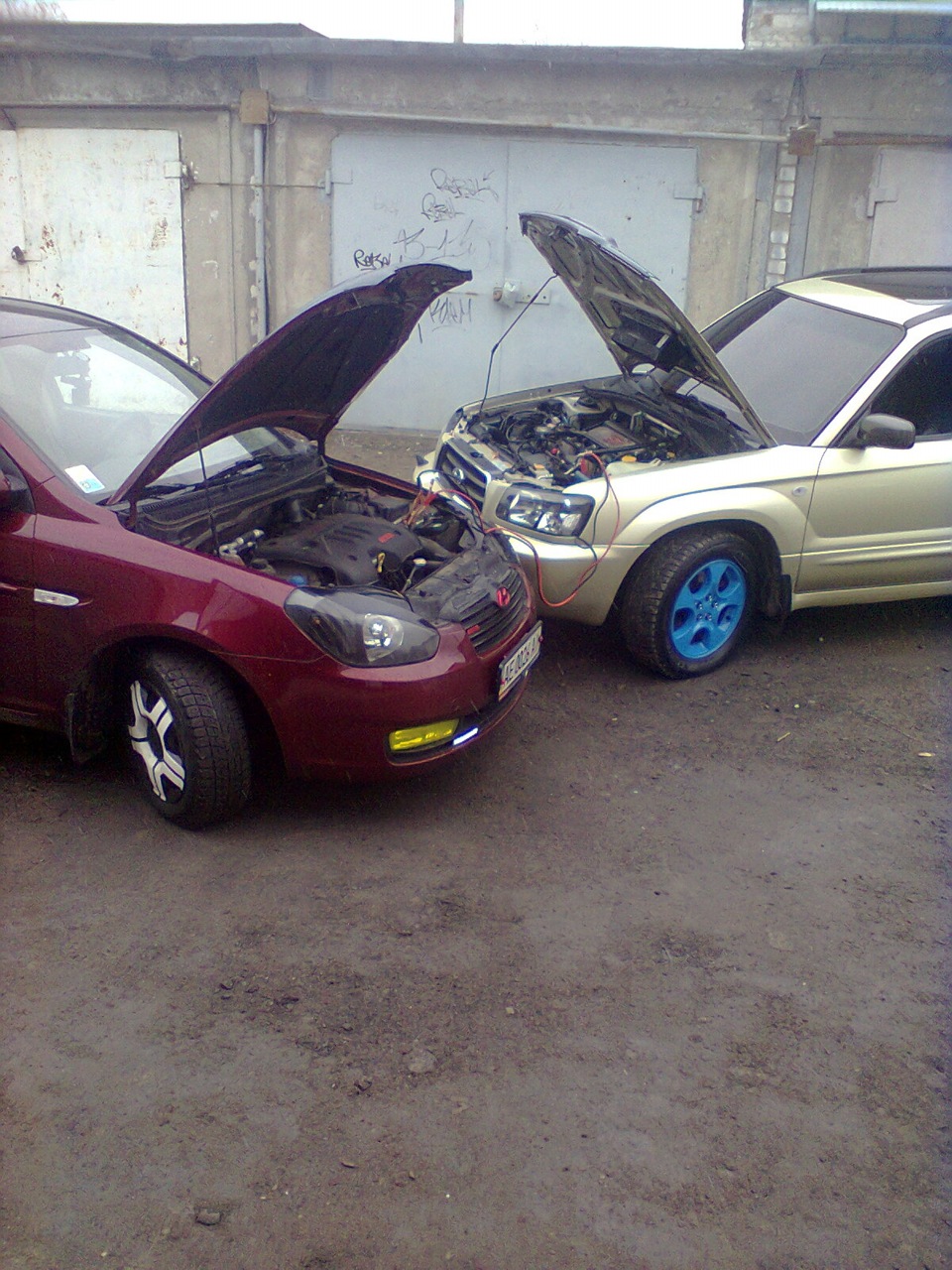 нежданчик:) 2