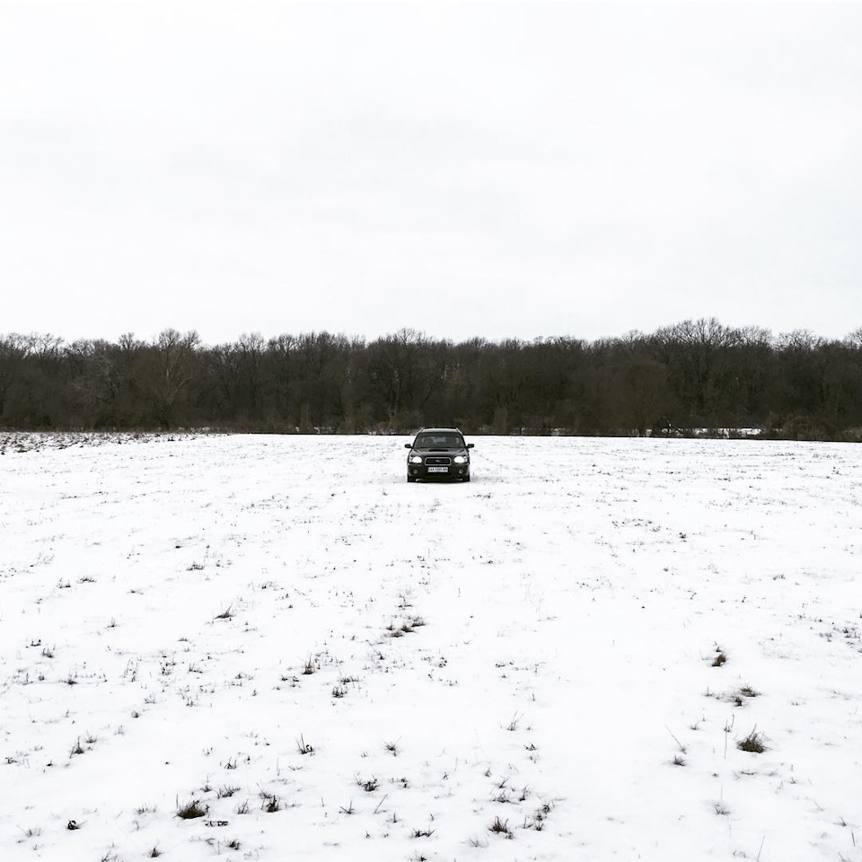 6. Ще трохи зимових фотографій 3