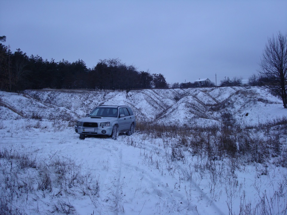 Прогулянка лісовим бездоріжжям ... 5