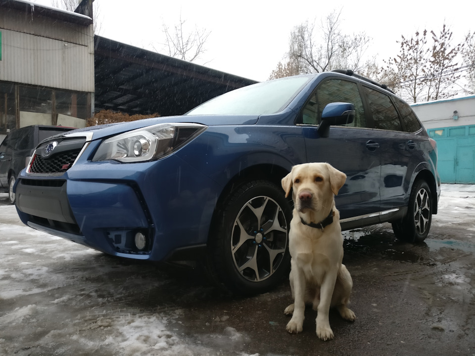 Хімчистка, кераміка та реклама Motul =) 3
