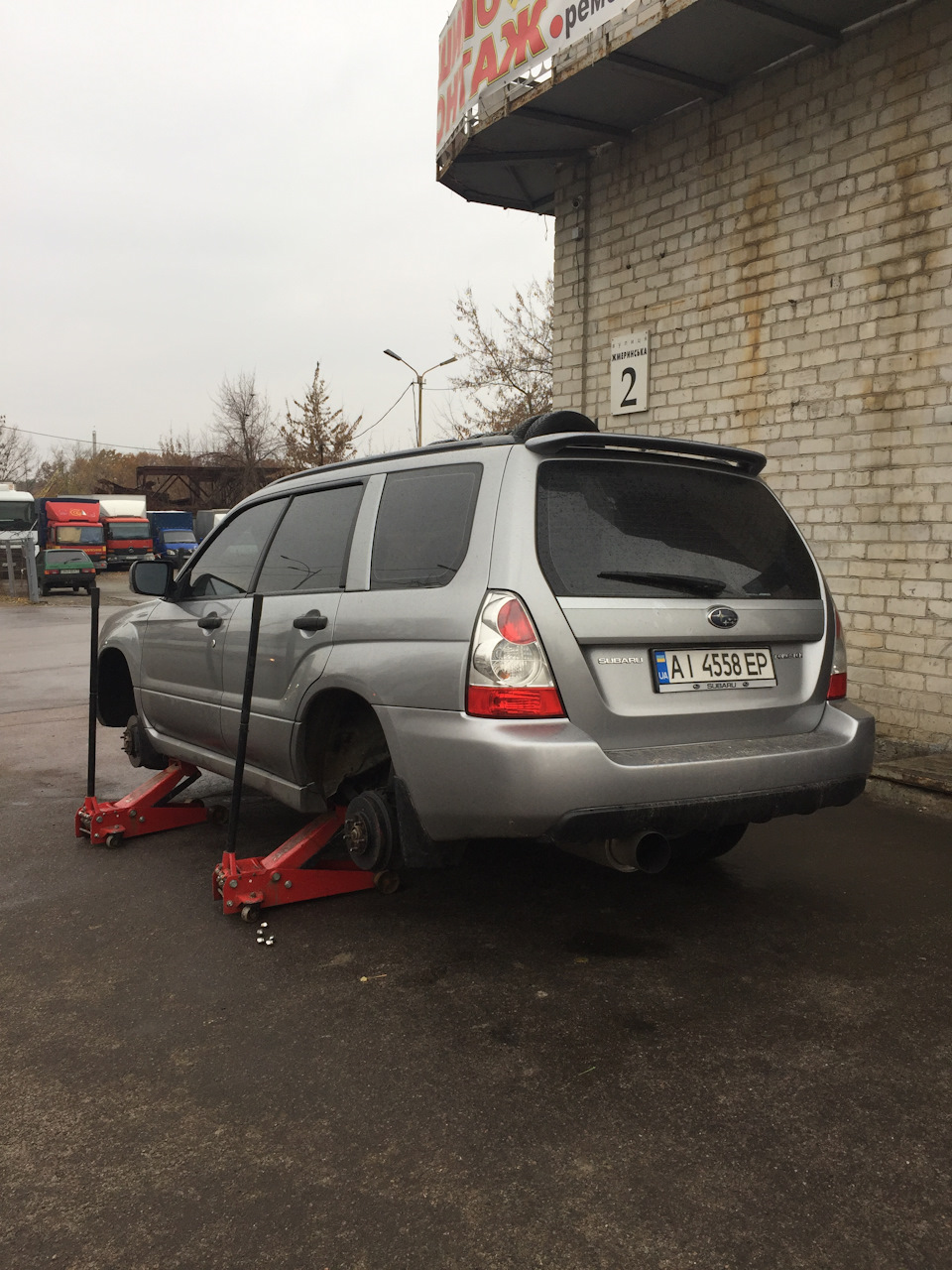 Перевзувся в зиму. 3
