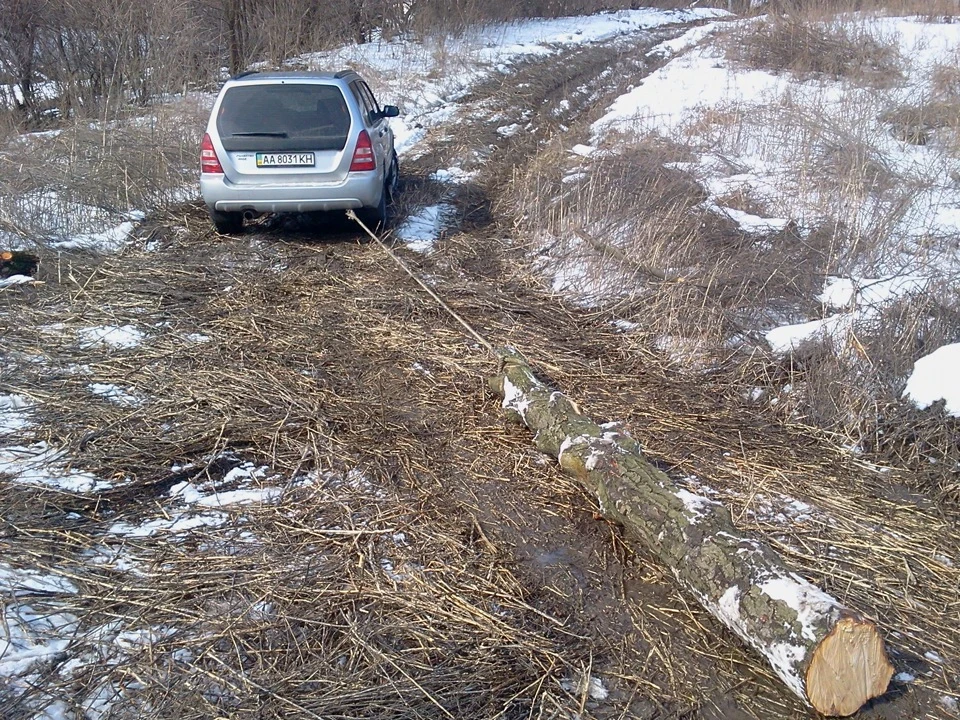 Запис, 11 березня 2012