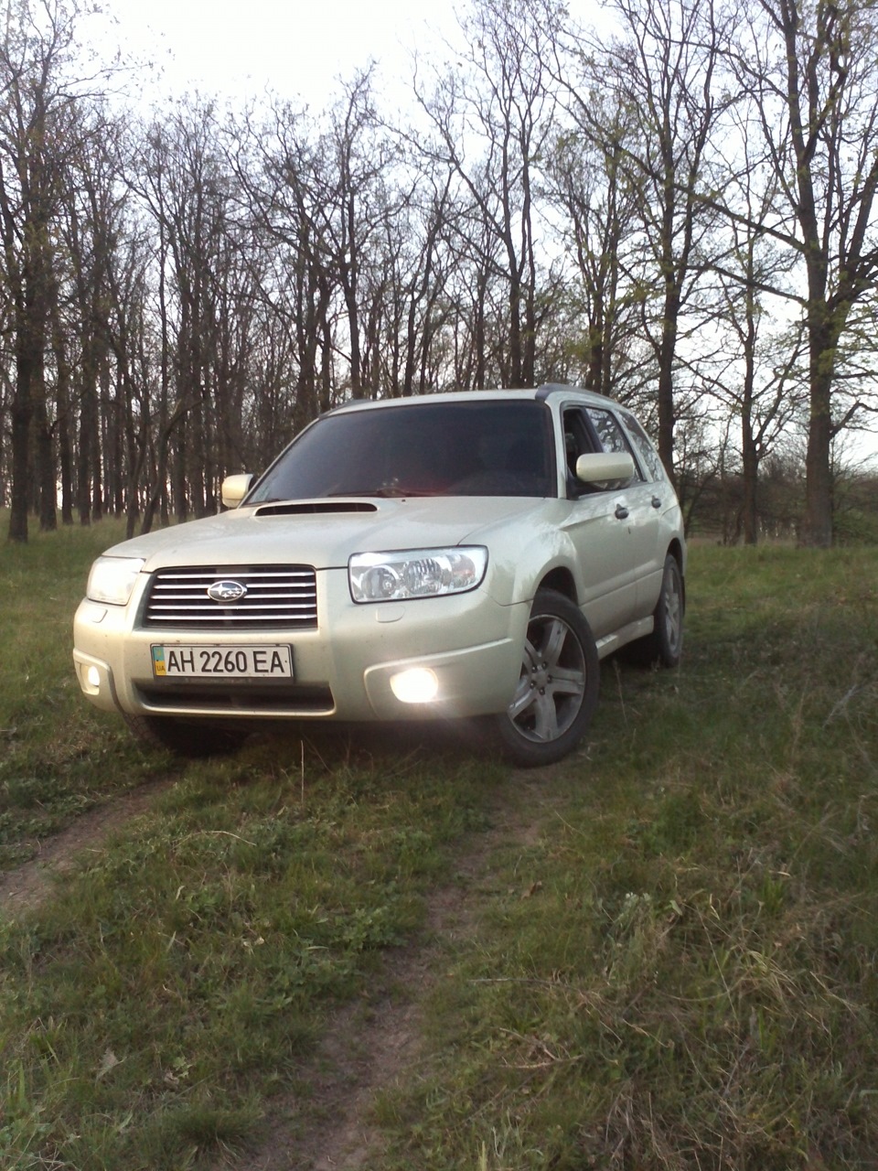 Форь в природному середовищі:) 2