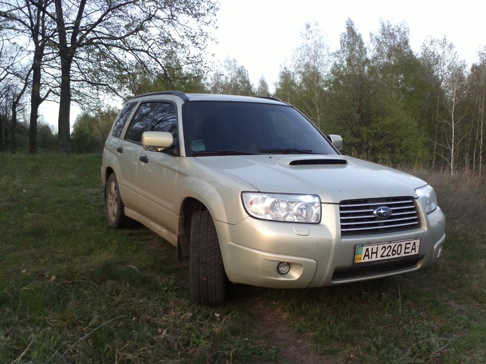 Форь в природному середовищі:) 5