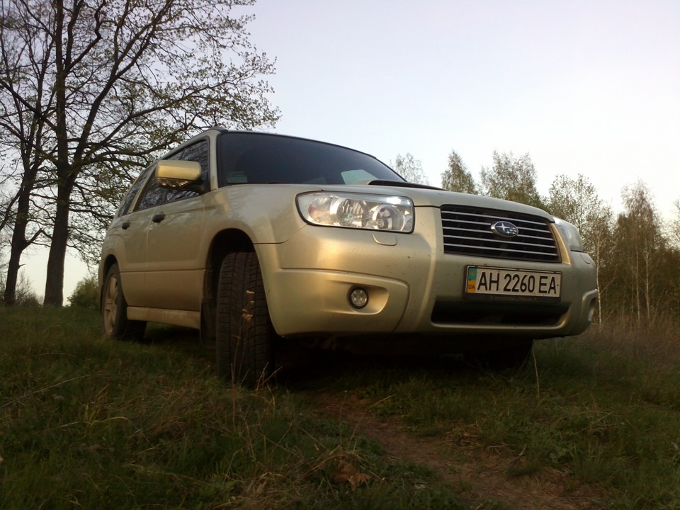 Форь в природному середовищі:) 3