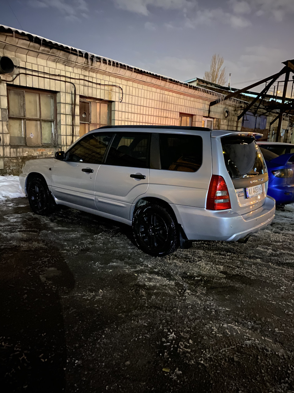 Красивий Форестер 3