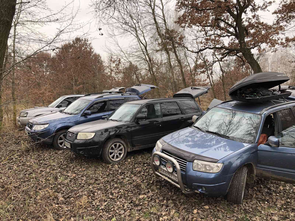 Міні зліт Форестероводів 4