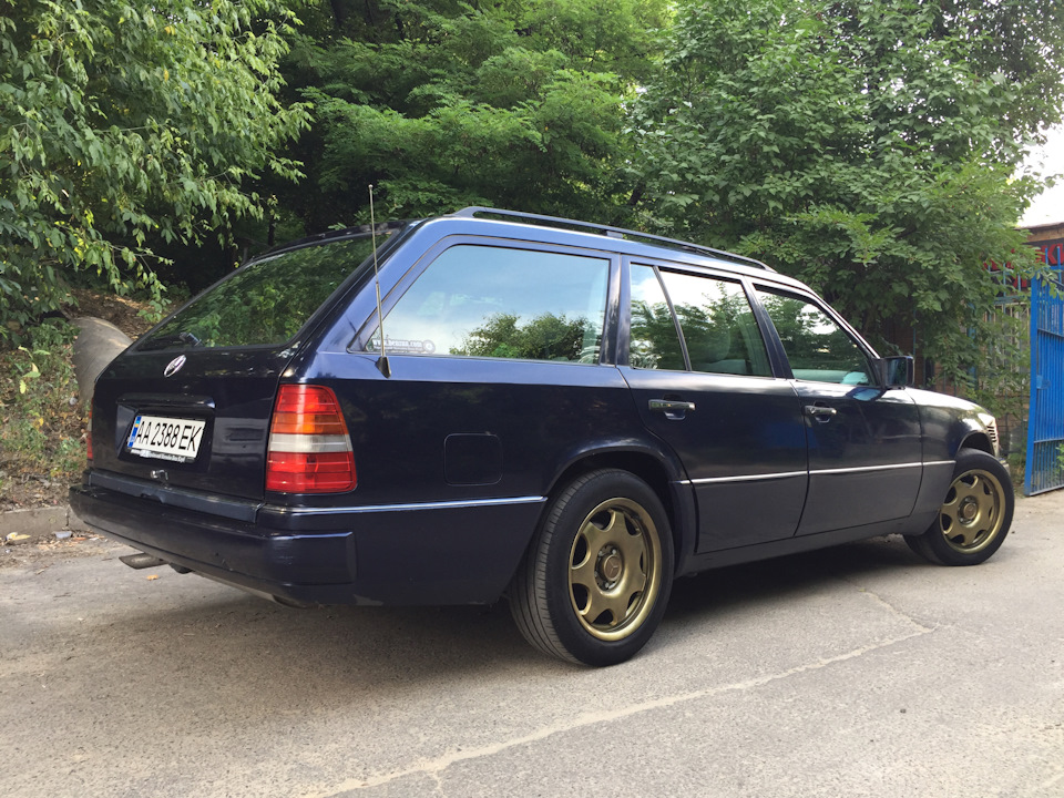 Поповнення в сім'ї 2