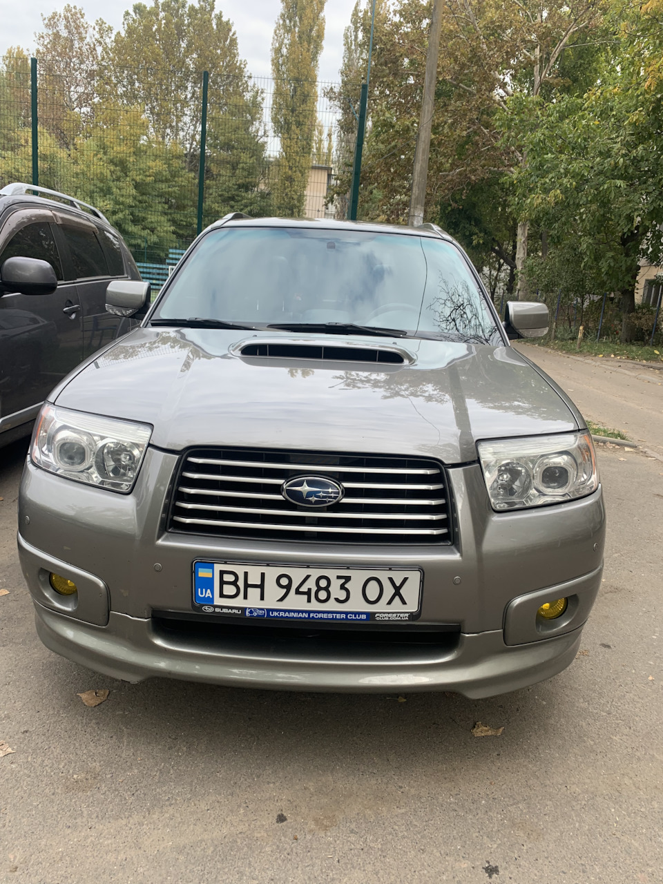 Покупка та перше знайомство) 2