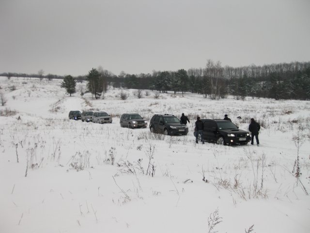 Зустріч Forester-Club 31.01 2