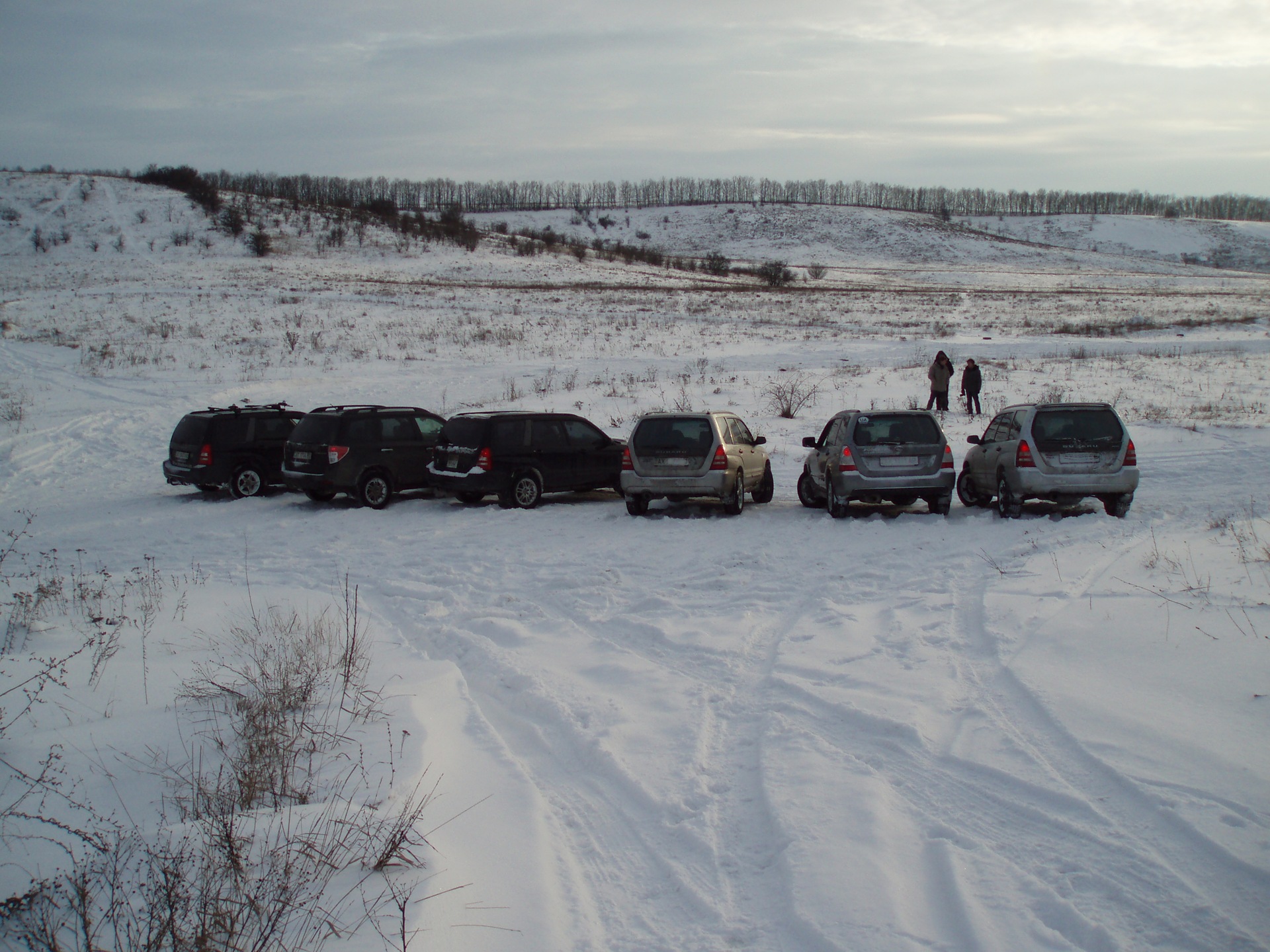 Зустріч Forester-Club 3