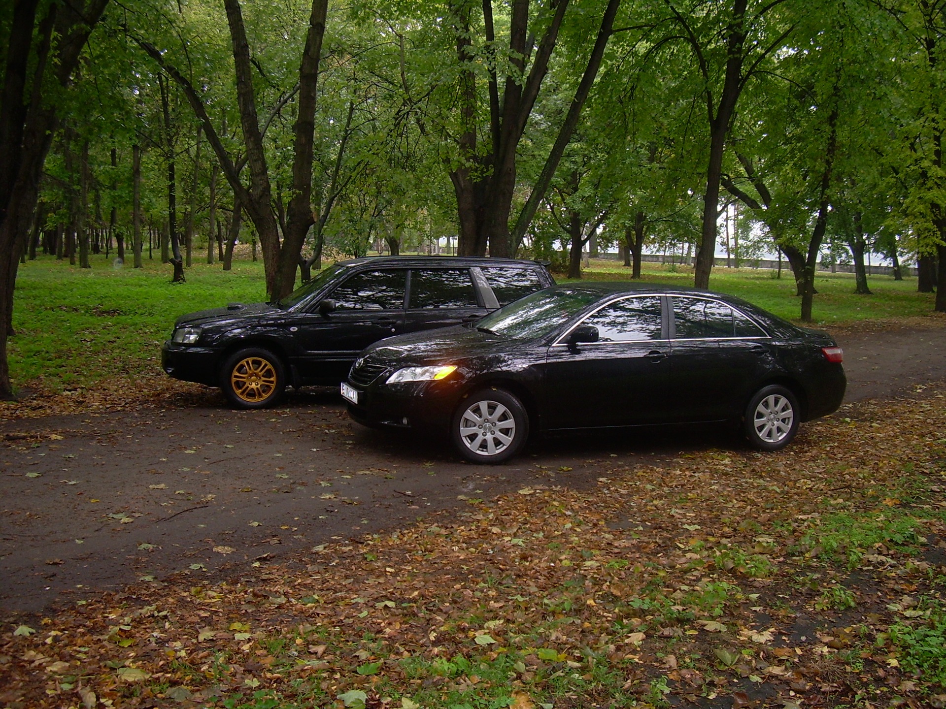 Forester & Camry 5