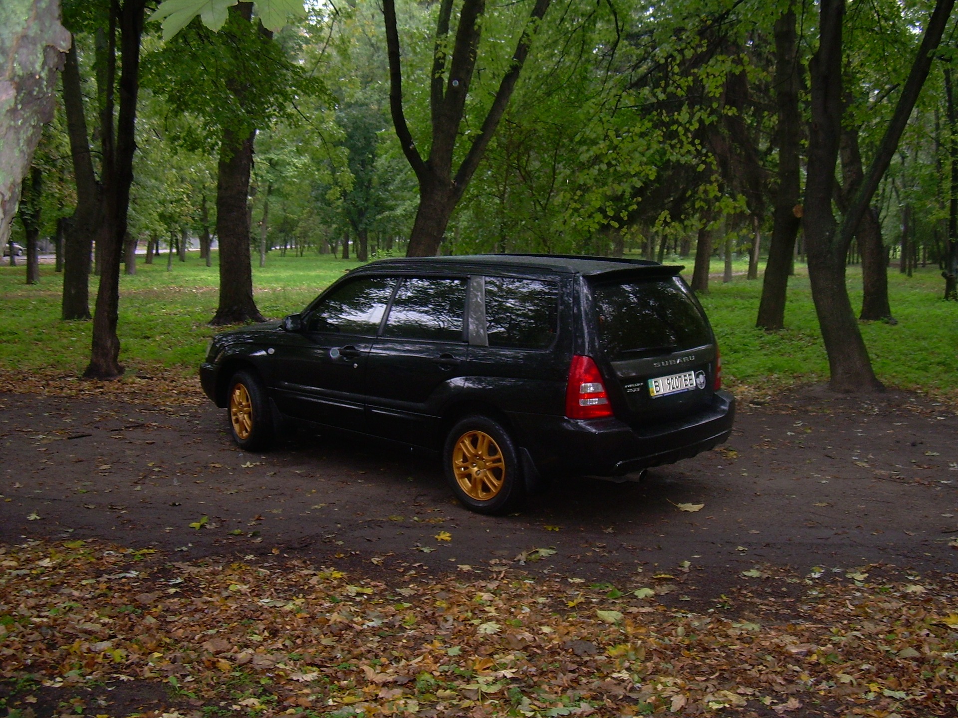 Forester & Camry 2