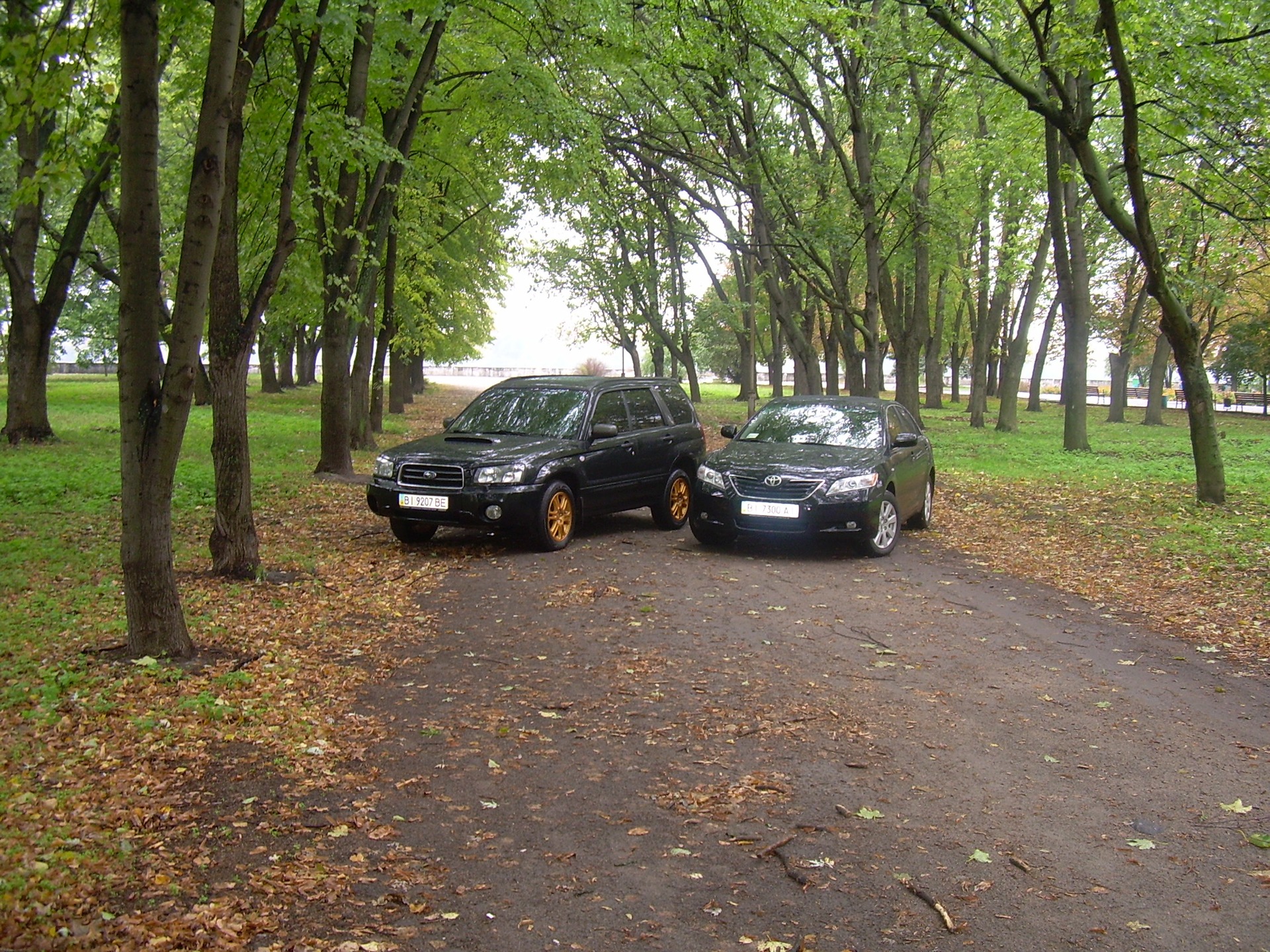 Forester & Camry 4