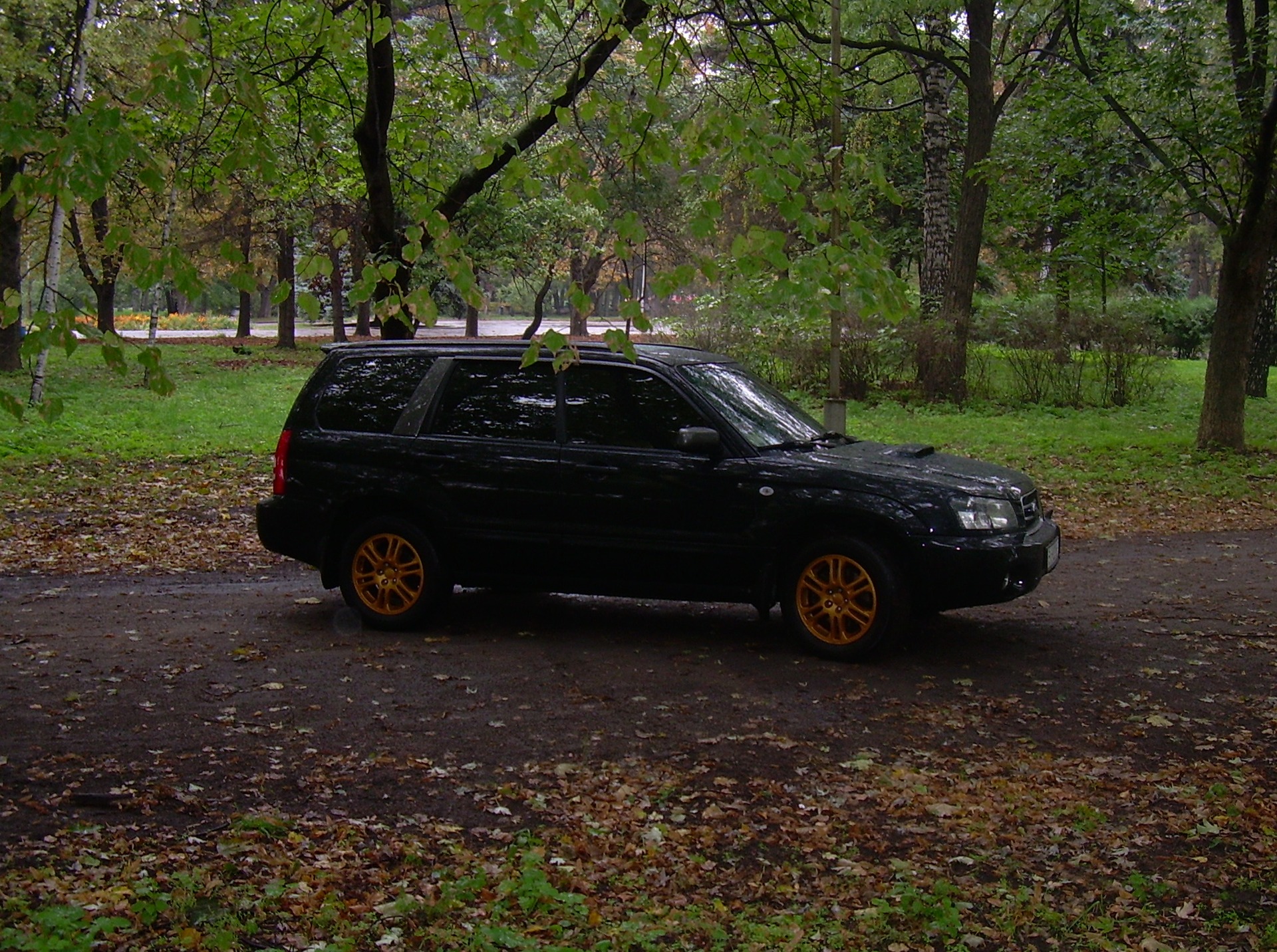 Forester & Camry 3