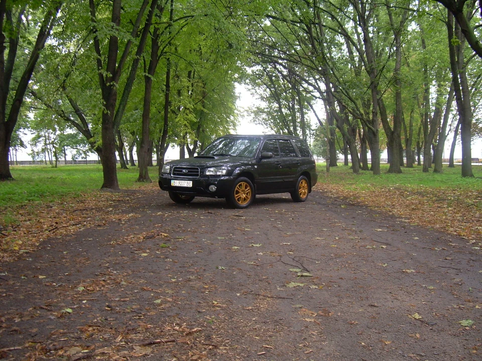 Forester & Camry