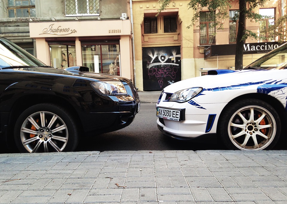 Поповнення в сім'ї! 2