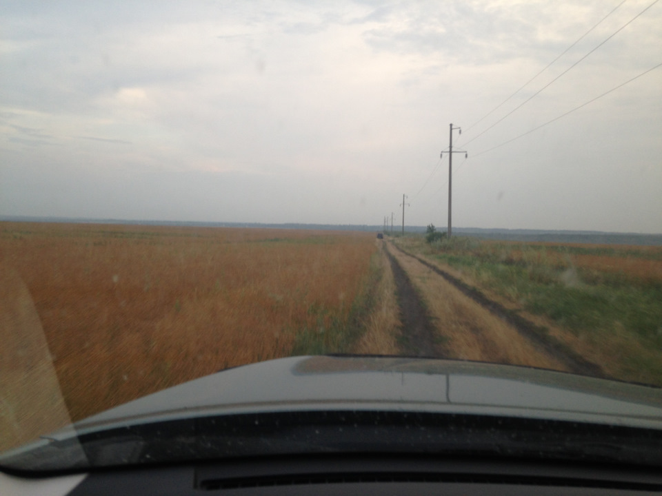 Перший виїзд на природу. 2