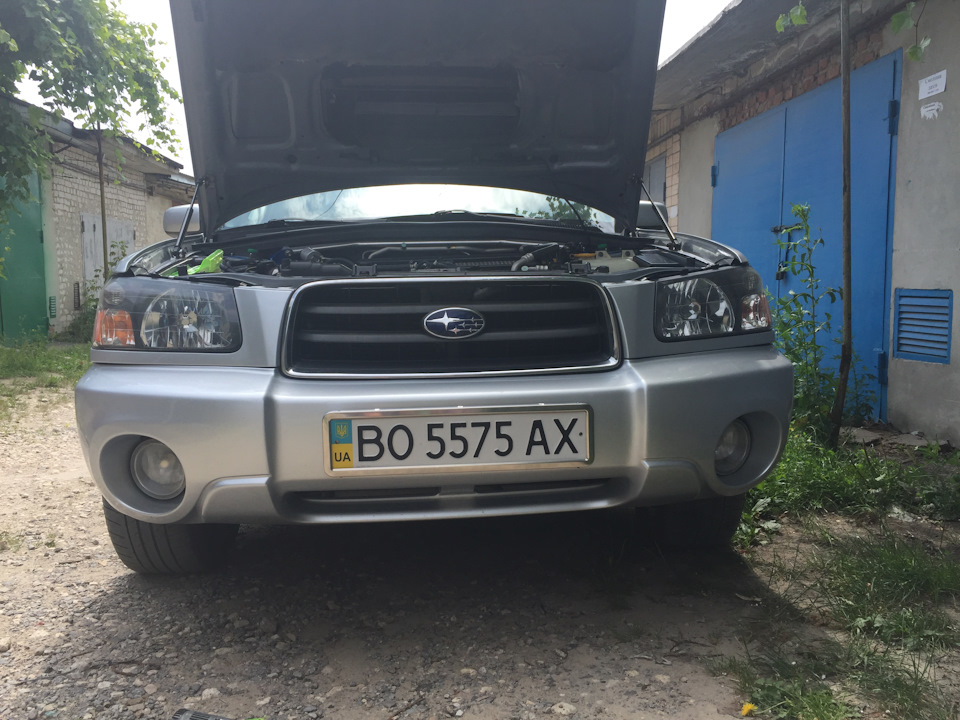 Дрібниця але приємно 1