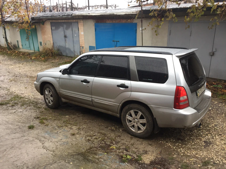 У передчутті зими