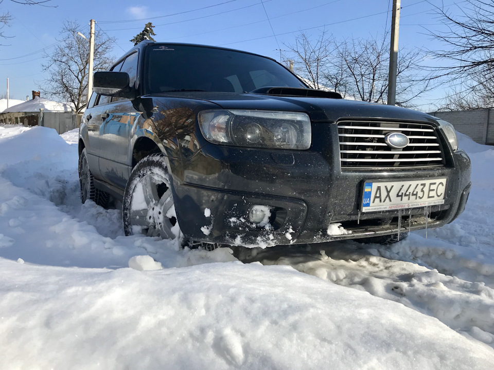 Зведений зимовий звіт. 1
