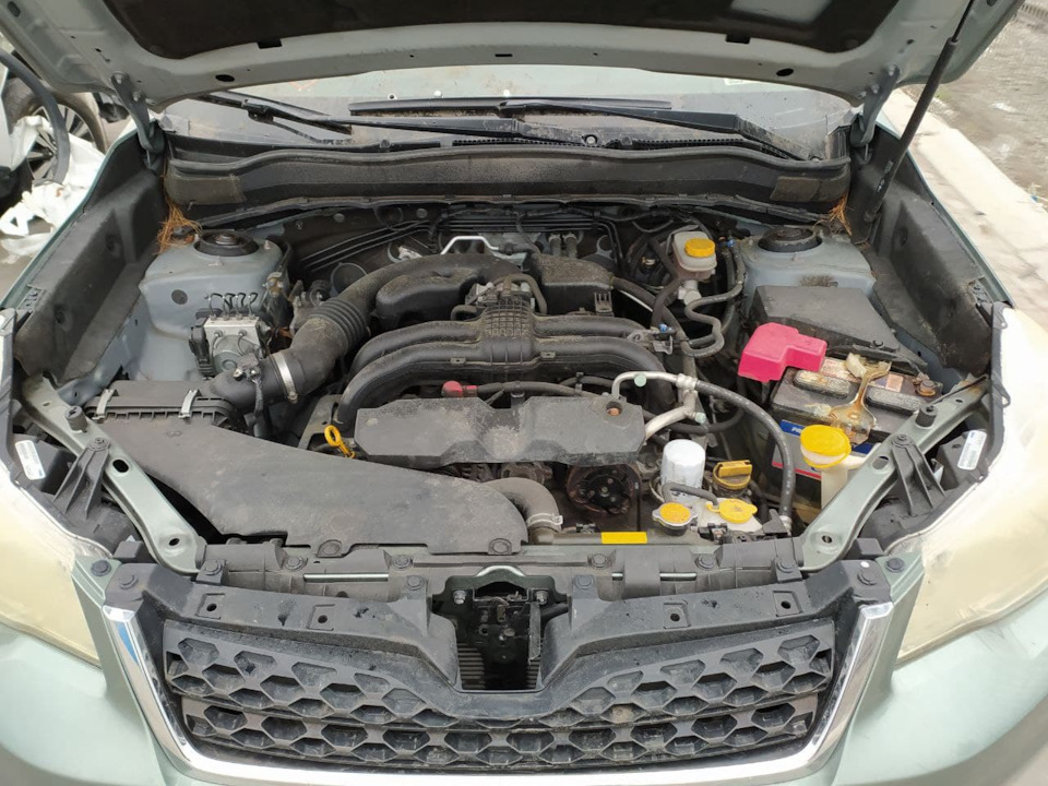 Масло для Subaru 1