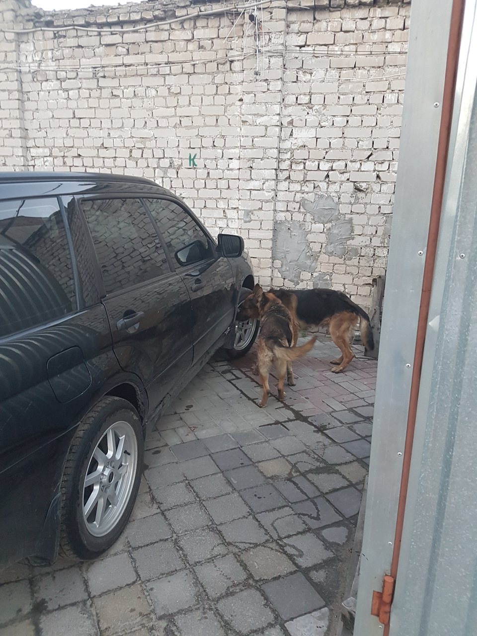 Знайшов обсипачів коліс - вони ж охорона ... 1