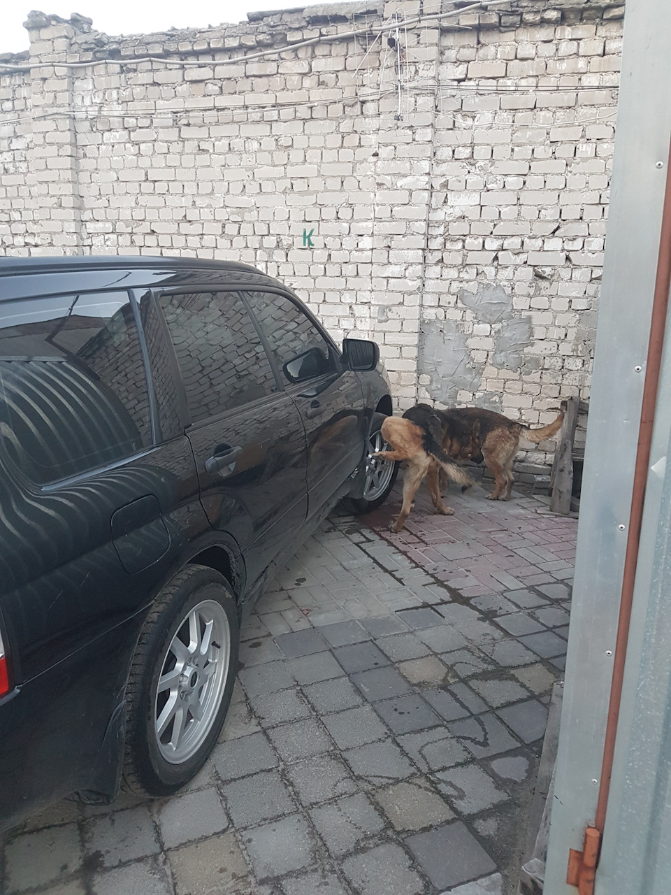 Знайшов обсипачів коліс - вони ж охорона ... 3