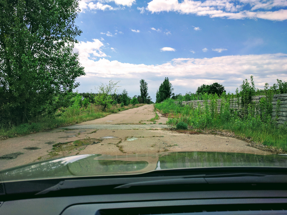 Страхолесьє та кордон Чорнобильської зони відчуження 4