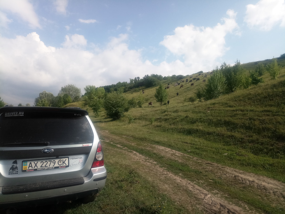 Місцеві альпійські долини 4